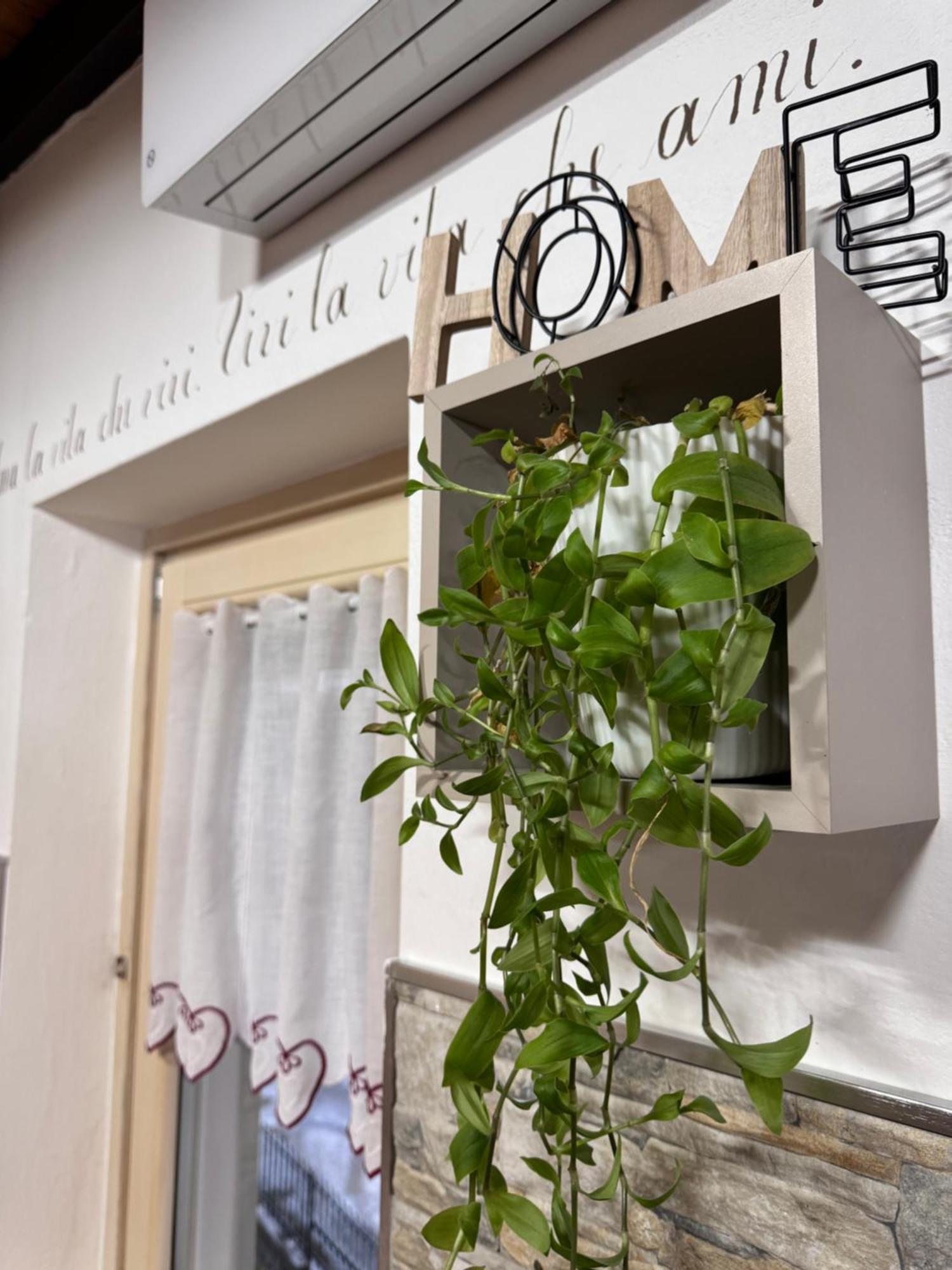 Residenze Vezza - Home Sweet Home- Vezza dʼOglio Eksteriør bilde